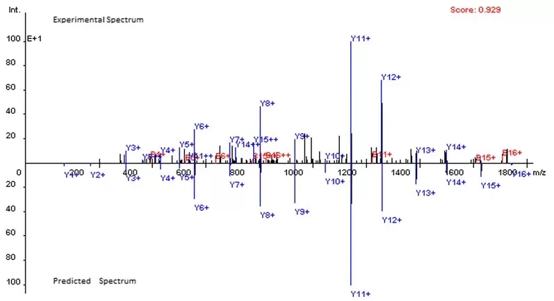 Comparison of experimental and predicted spectra for peptide EIELEDPLENMGAQMVK showing b and y ion matching